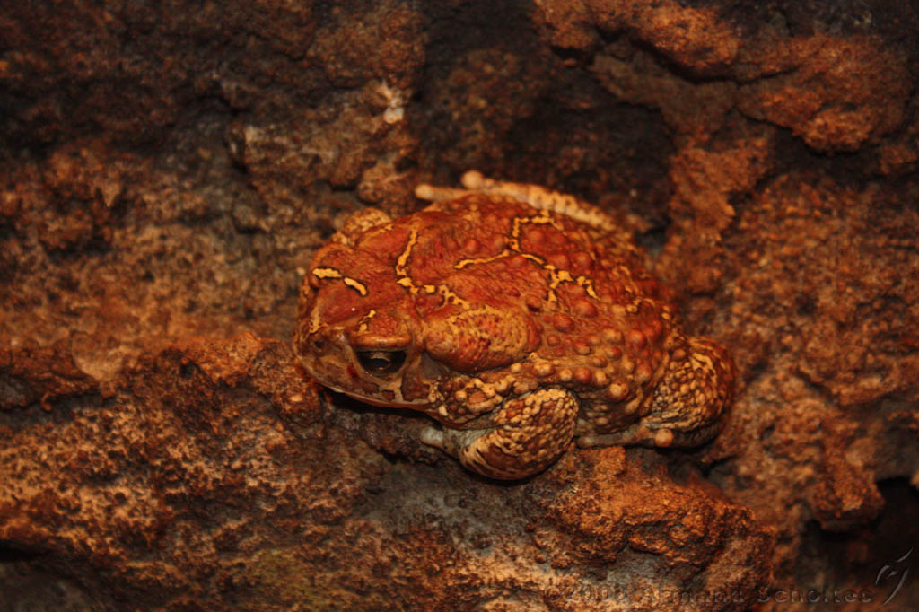 noorderdierenpark_287.jpg
