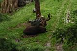 noorderdierenpark_006