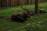 noorderdierenpark_007