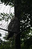 noorderdierenpark_013