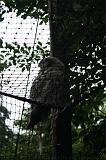 noorderdierenpark_014