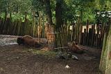 noorderdierenpark_015