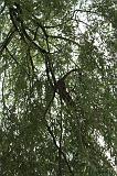noorderdierenpark_021