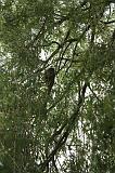 noorderdierenpark_022
