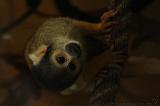 noorderdierenpark_024