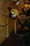 noorderdierenpark_025