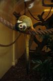 noorderdierenpark_026
