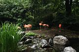noorderdierenpark_028