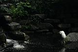 noorderdierenpark_029
