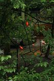 noorderdierenpark_031
