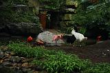 noorderdierenpark_032
