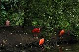 noorderdierenpark_033