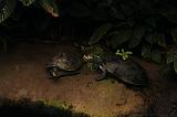 noorderdierenpark_047