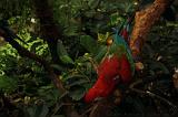 noorderdierenpark_054