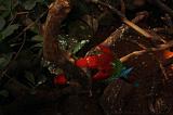 noorderdierenpark_055