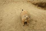 noorderdierenpark_067