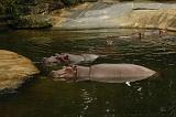 noorderdierenpark_069