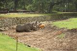 noorderdierenpark_074