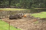 noorderdierenpark_075