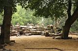 noorderdierenpark_077