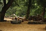 noorderdierenpark_078