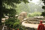 noorderdierenpark_079