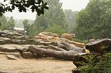 noorderdierenpark_080