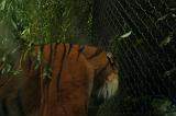 noorderdierenpark_087