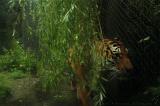 noorderdierenpark_089