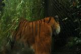 noorderdierenpark_090