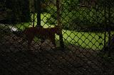 noorderdierenpark_091