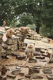 noorderdierenpark_095