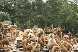 noorderdierenpark_100