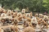 noorderdierenpark_101