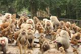 noorderdierenpark_102