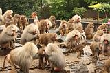 noorderdierenpark_104