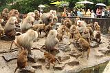 noorderdierenpark_107