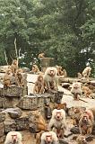noorderdierenpark_108