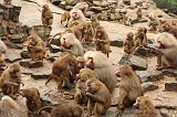 noorderdierenpark_109