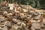 noorderdierenpark_110