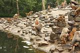 noorderdierenpark_111
