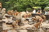 noorderdierenpark_112