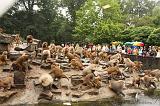 noorderdierenpark_114
