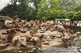 noorderdierenpark_115