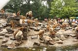 noorderdierenpark_116