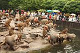 noorderdierenpark_117
