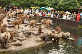 noorderdierenpark_118