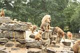 noorderdierenpark_119