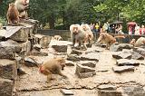 noorderdierenpark_120