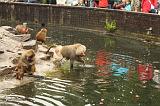 noorderdierenpark_122